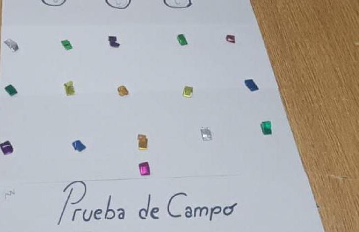 730x473_250521125644_66272