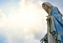 La historia del 8 de diciembre y su vínculo con el árbol navideño