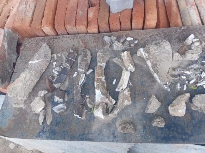 WhatsApp-Image-2026-02-12-at-11.18.30-e1770912109945