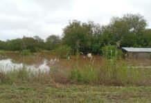 Ante las inundaciones en Tucumán, Naranja X lanza una campaña solidaria y duplicará los aportes