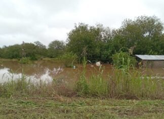 Ante las inundaciones en Tucumán, Naranja X lanza una campaña solidaria y duplicará los aportes