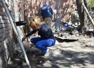 Detectan nuevos contagios de chikungunya y activan controles en la capital