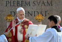 León XIV en el Domingo de Ramos: “Dios no legitima la guerra” y llamó a frenar la violencia global