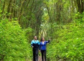 Tucumán propone un fin de semana con actividades en toda la provincia