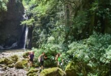 Mirá la agenda que ofrece Tucumán para el fin de semana