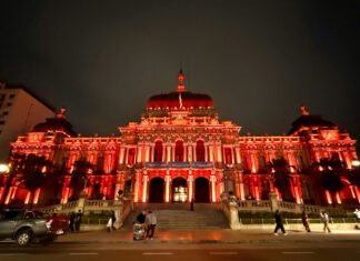 La Casa de Gobierno se iluminó de naranja por el Día Mundial de la Esclerosis Múltiple