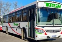 ¿Cómo vas a pagar el colectivo?: desde el 19 de agosto se elimina el efectivo en el interior.