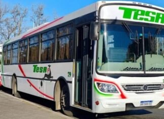 ¿Cómo vas a pagar el colectivo?: desde el 19 de agosto se elimina el efectivo en el interior.