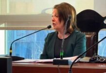 La fiscal del caso Lebbos reveló por qué decidió no acusar a Virginia Mercado
