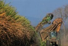 Jaldo resalta el progreso del proyecto de Ley de Biocombustibles en el Congreso.